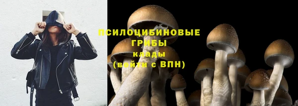 молекула духа Алексеевка