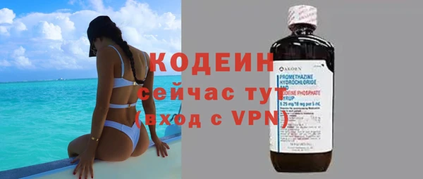 сатива Инта
