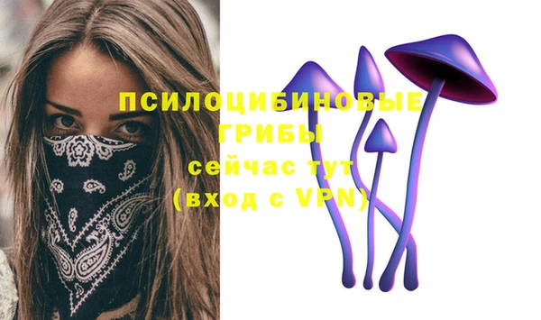 2c-b Алзамай