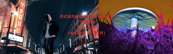 2c-b Алзамай