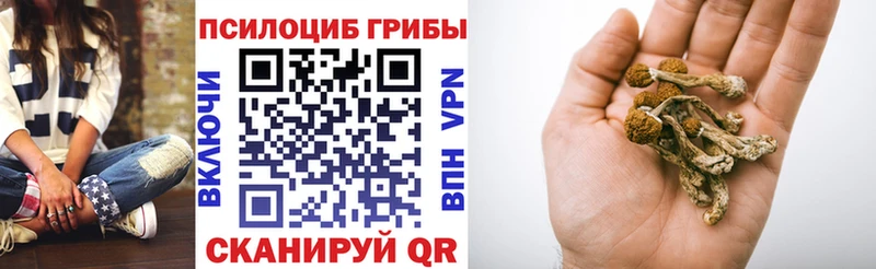 OMG вход  Учалы  Псилоцибиновые грибы мицелий  shop официальный сайт  хочу наркоту 